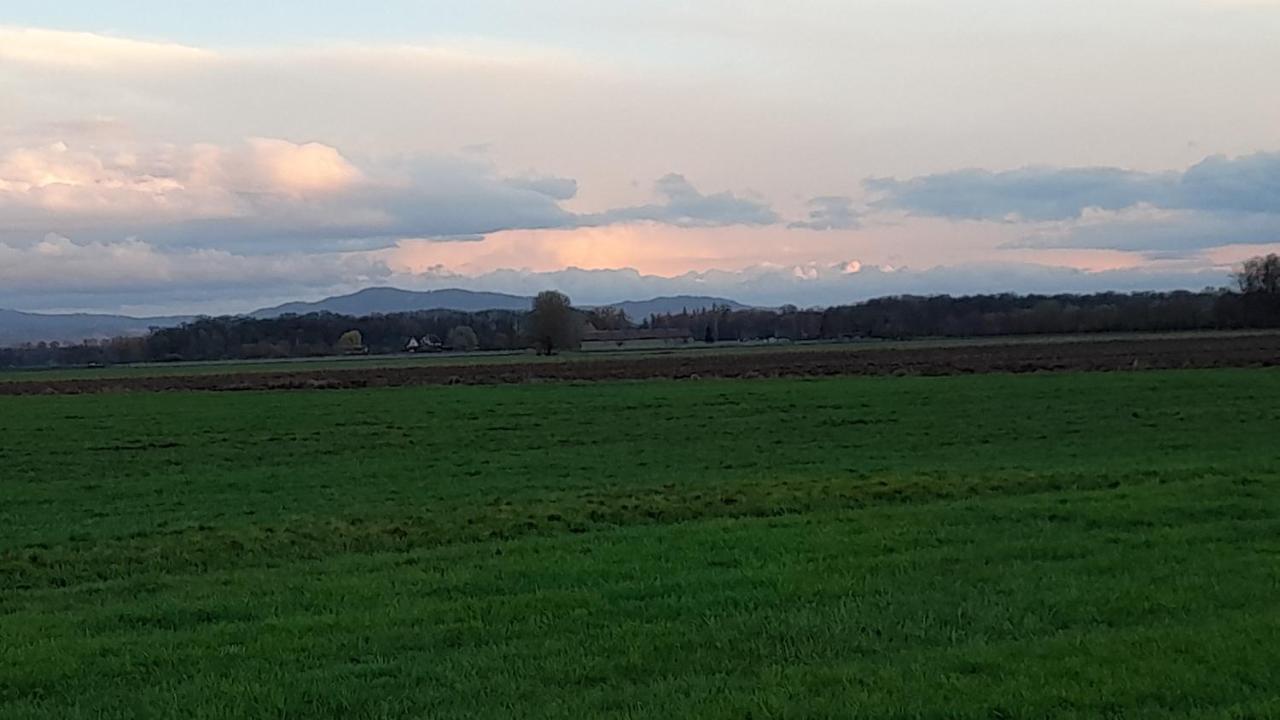Badischer Neubau-Ruhe-Kunst-Natur Rheinau Exteriör bild