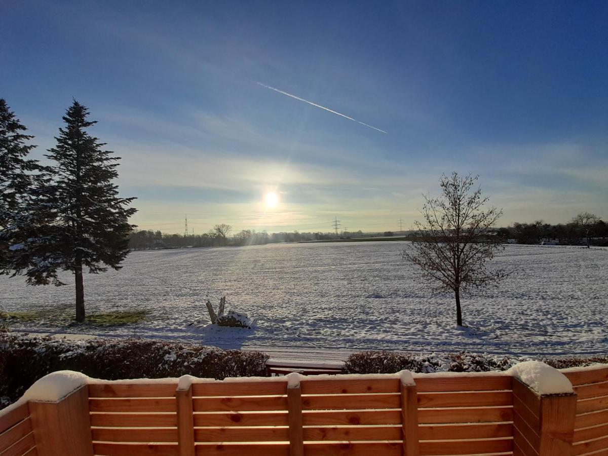 Badischer Neubau-Ruhe-Kunst-Natur Rheinau Exteriör bild