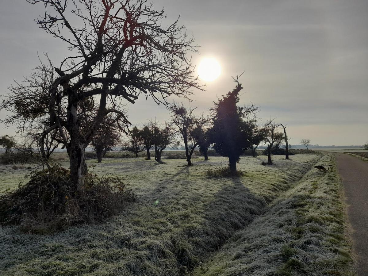 Badischer Neubau-Ruhe-Kunst-Natur Rheinau Exteriör bild