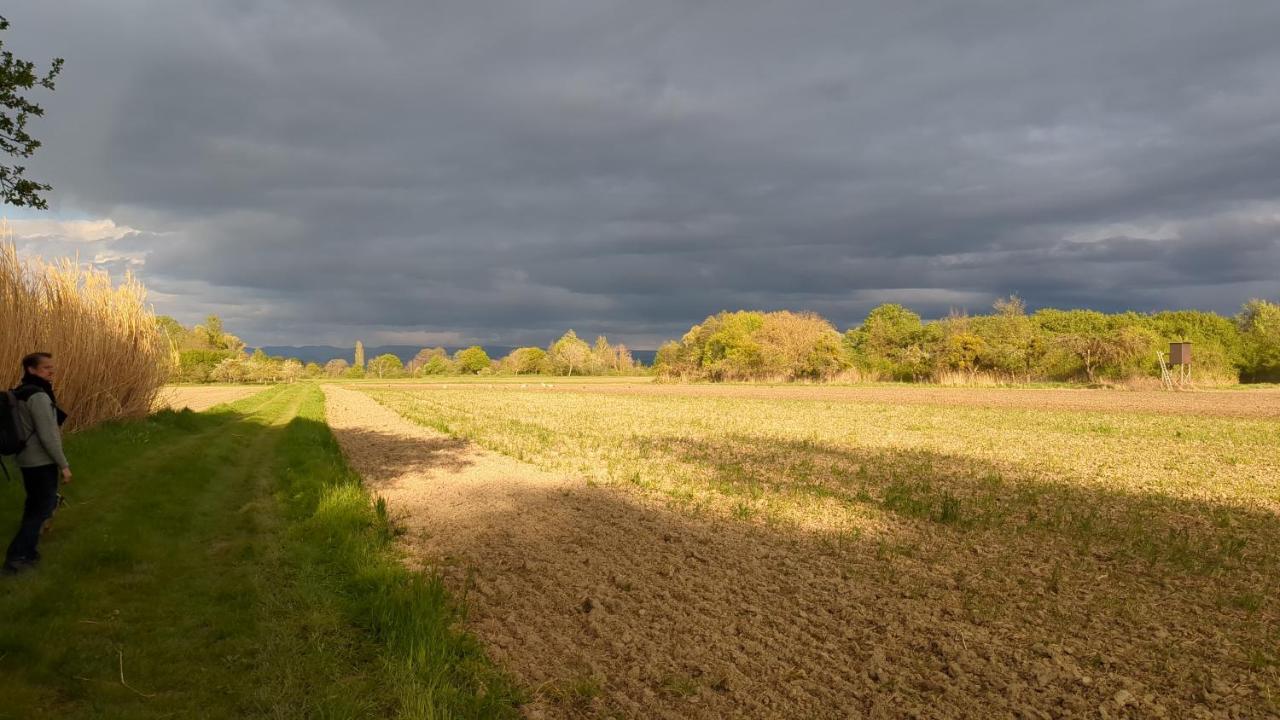 Badischer Neubau-Ruhe-Kunst-Natur Rheinau Exteriör bild
