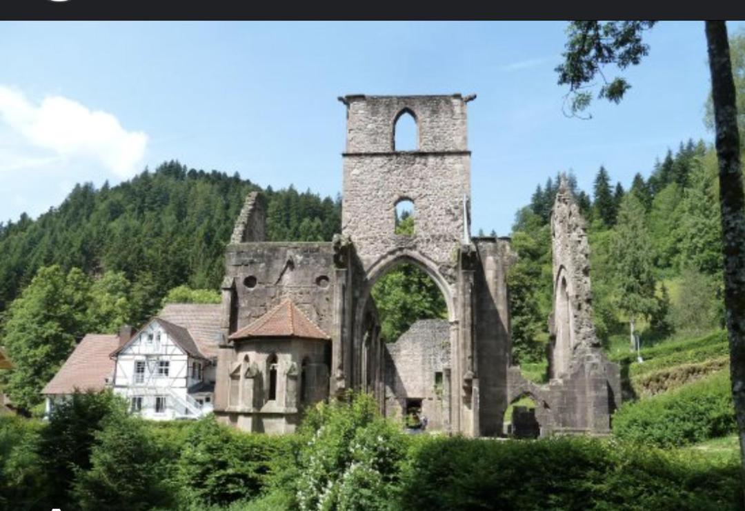 Badischer Neubau-Ruhe-Kunst-Natur Rheinau Exteriör bild
