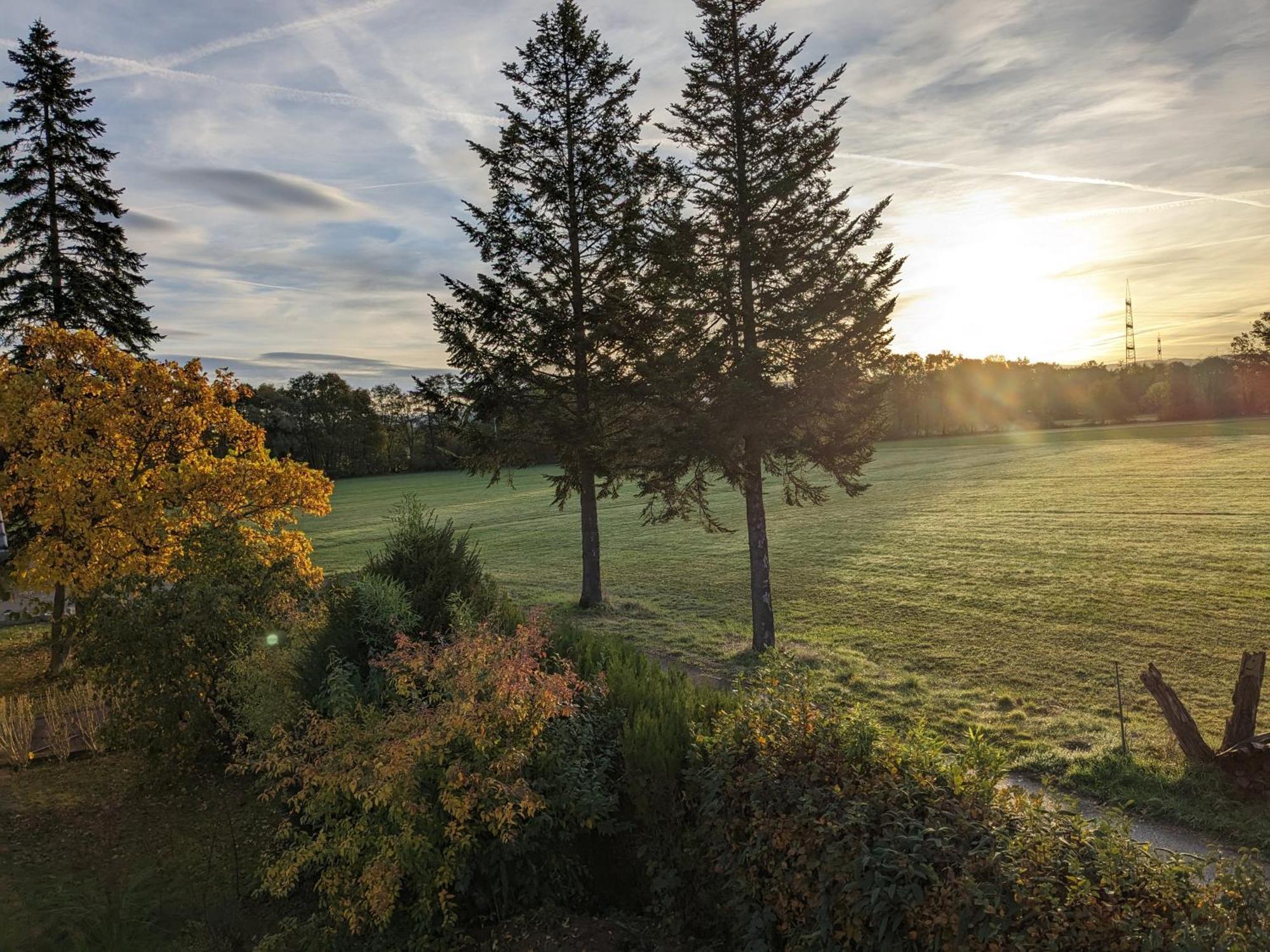 Badischer Neubau-Ruhe-Kunst-Natur Rheinau Exteriör bild