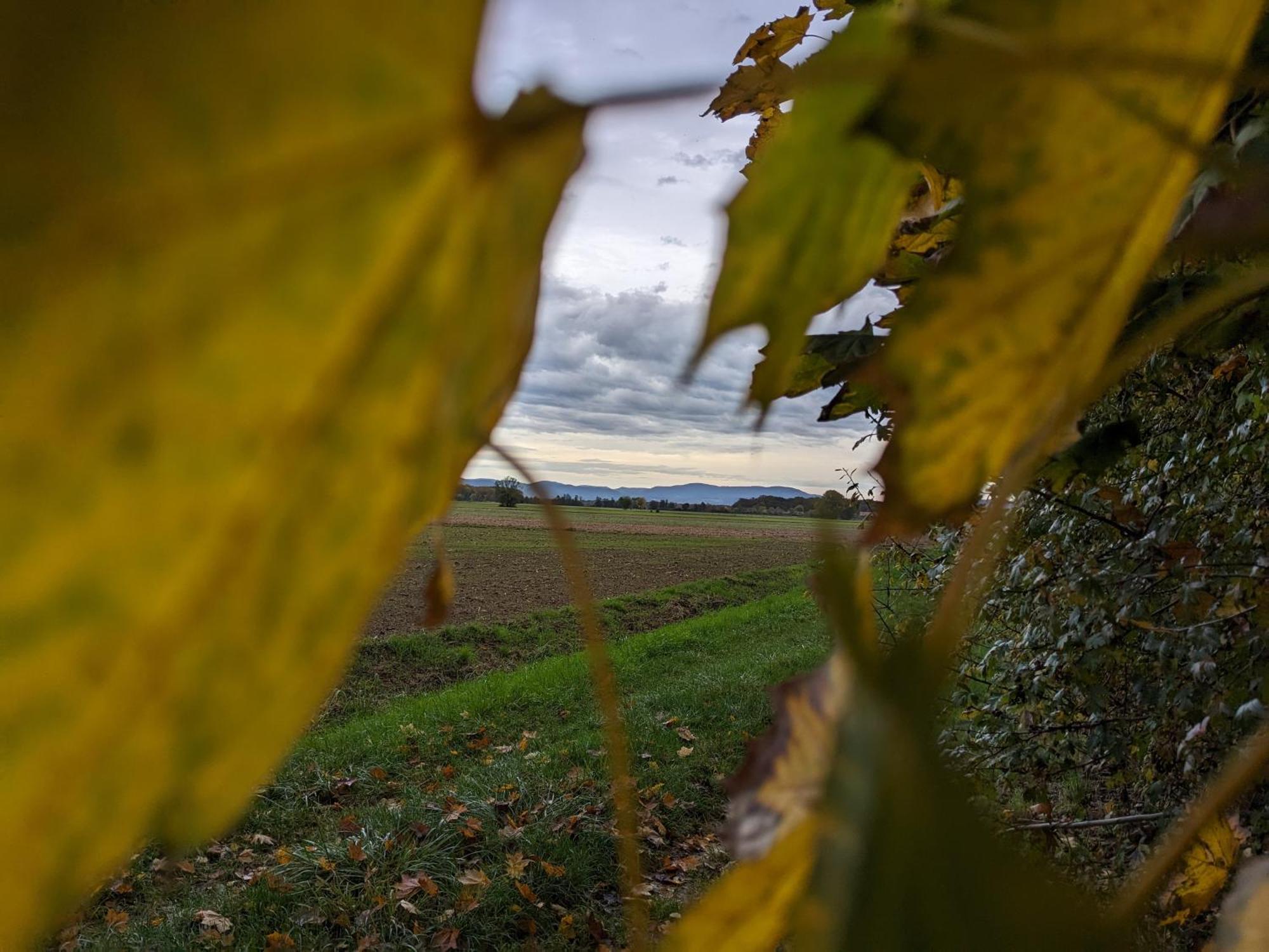 Badischer Neubau-Ruhe-Kunst-Natur Rheinau Exteriör bild