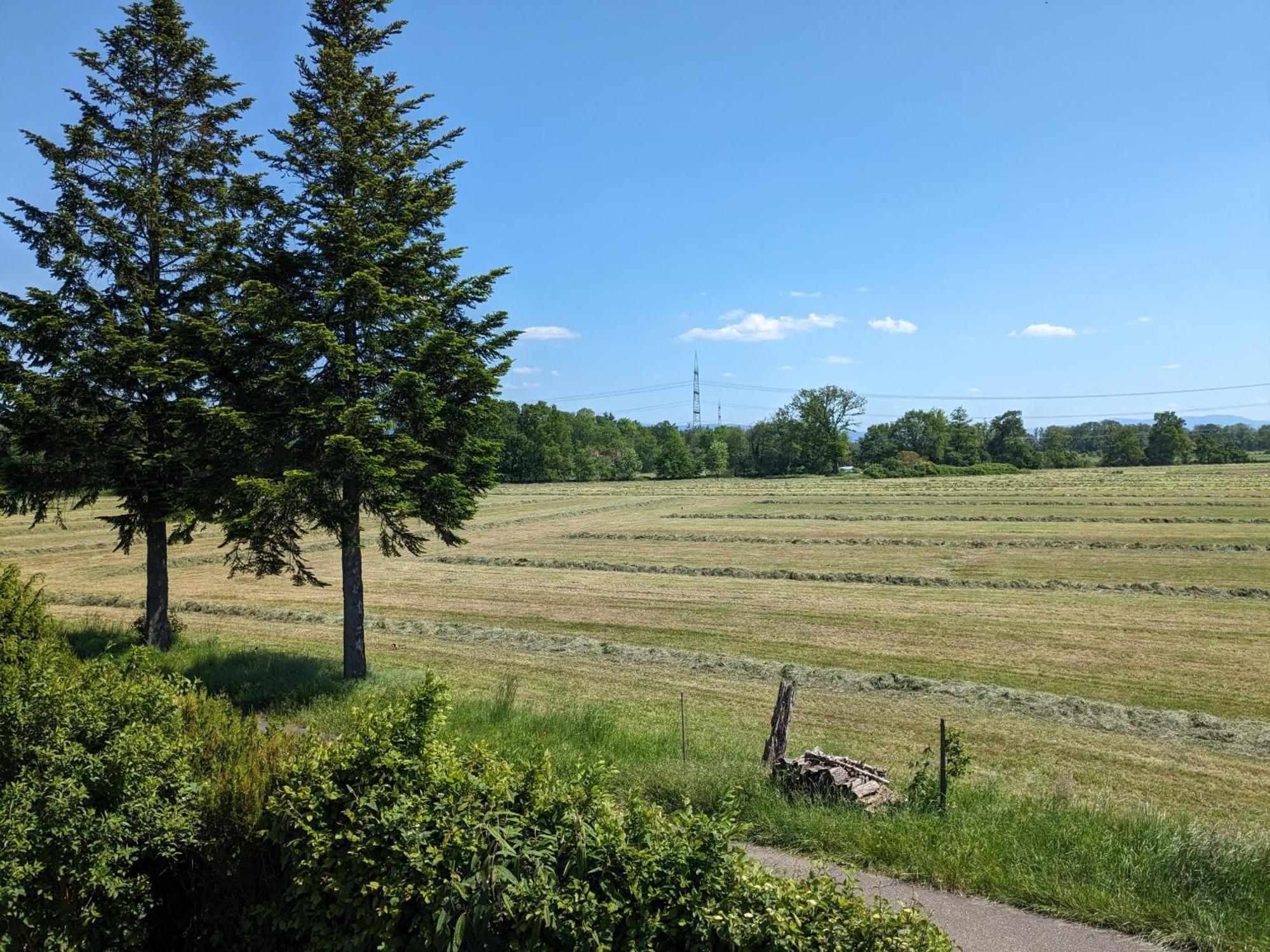 Badischer Neubau-Ruhe-Kunst-Natur Rheinau Exteriör bild