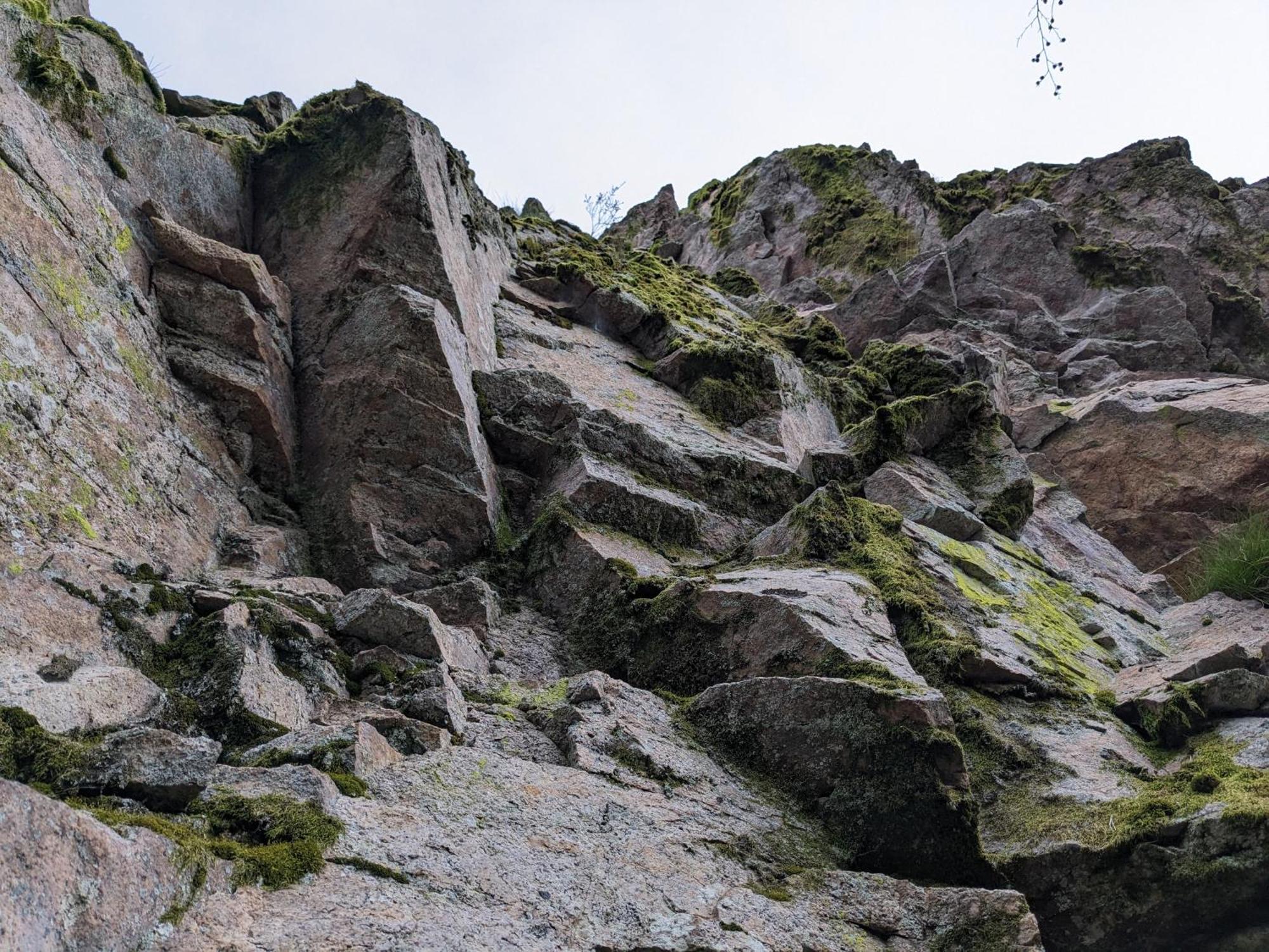 Badischer Neubau-Ruhe-Kunst-Natur Rheinau Exteriör bild
