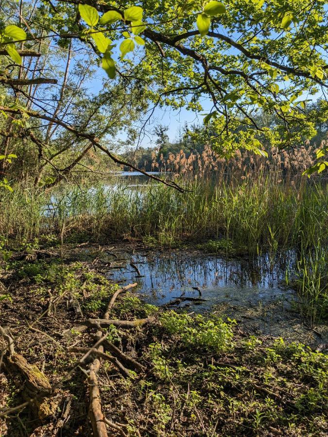 Badischer Neubau-Ruhe-Kunst-Natur Rheinau Exteriör bild