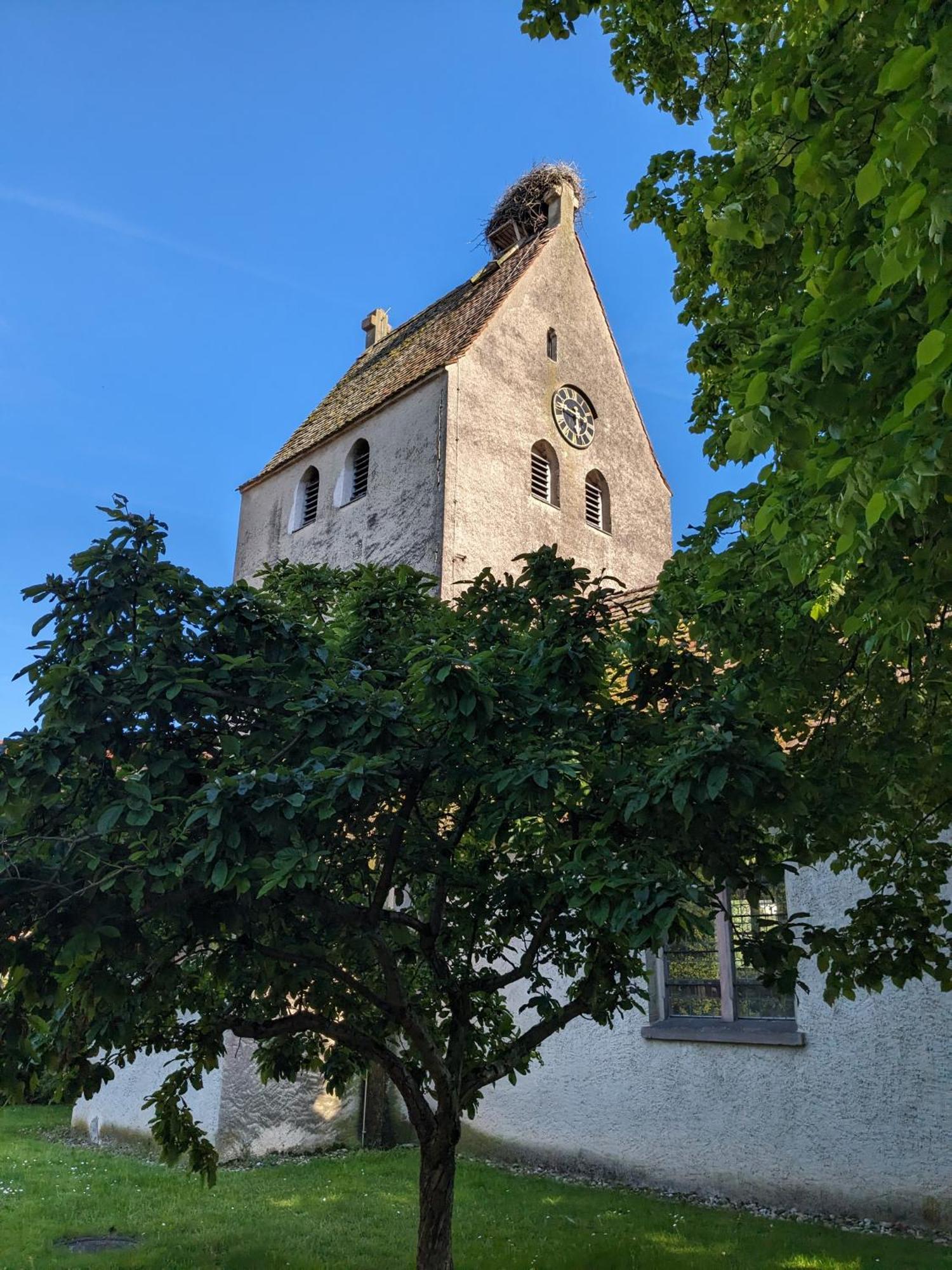 Badischer Neubau-Ruhe-Kunst-Natur Rheinau Exteriör bild
