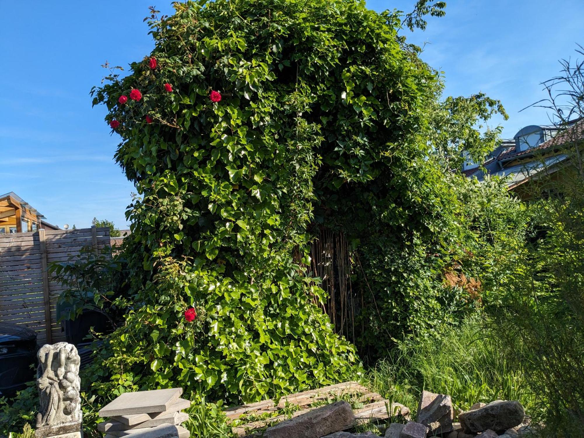 Badischer Neubau-Ruhe-Kunst-Natur Rheinau Exteriör bild