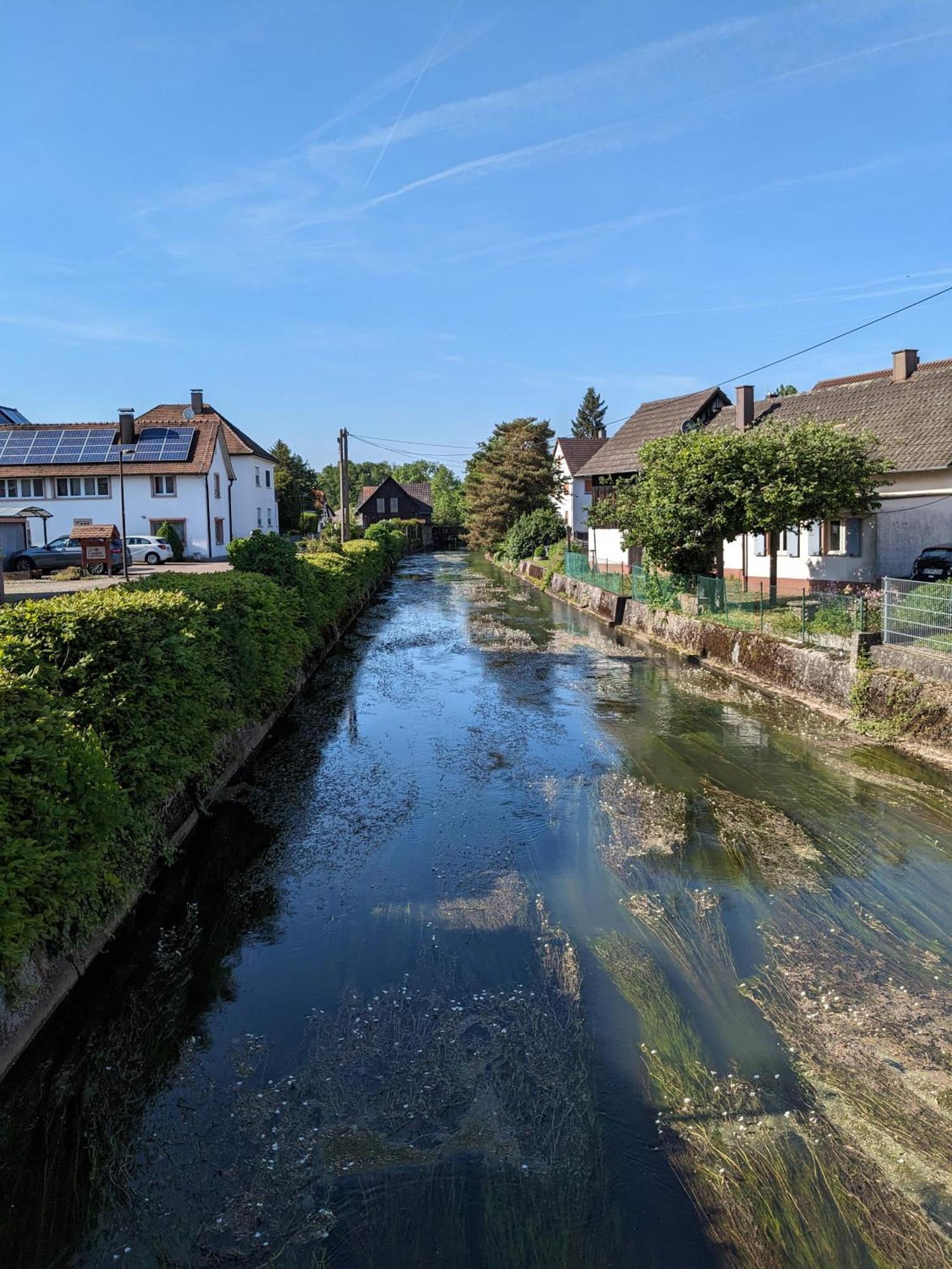 Badischer Neubau-Ruhe-Kunst-Natur Rheinau Exteriör bild